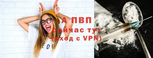 эйфоретик Беломорск