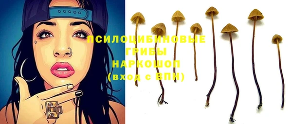 амф Белокуриха
