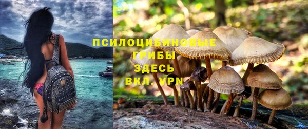 амф Белокуриха
