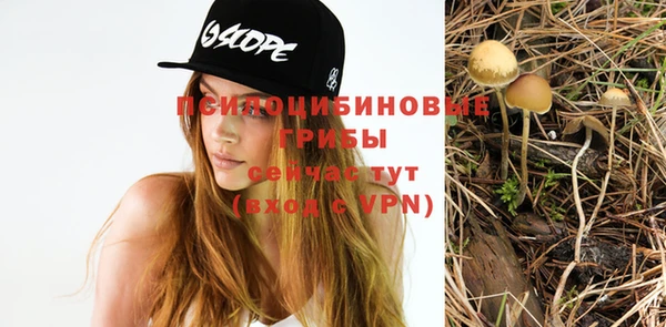 амф Белокуриха