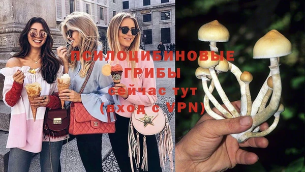 амф Белокуриха