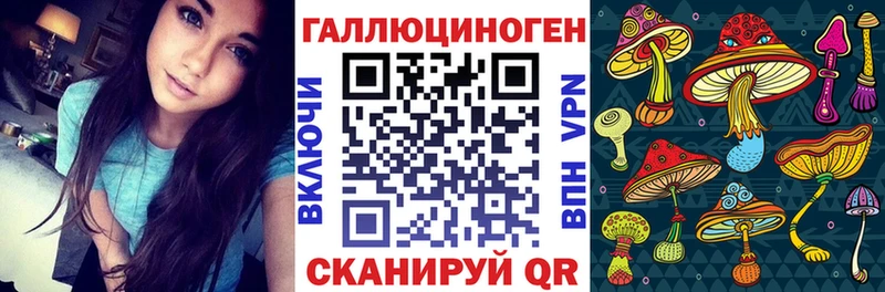 где можно купить наркотик Вяземский мега как войти Псилоцибиновые грибы мицелий